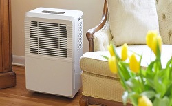 How To Tell If You Need A Dehumidifier In Your Home