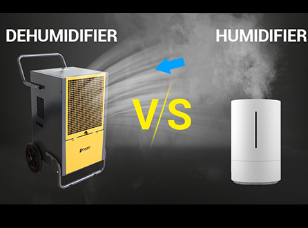 choose-a-dehumidifier-or-a-humidifier.png