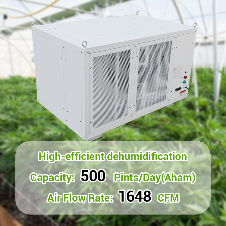 PRO500 High Efficiency Greenhouse Dehumidifier for Cannabis Grow Room
