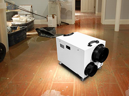 market-of-household-dehumidifiers-in-japan.png